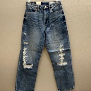 Blank NYC Women's Jeans Size 25 Blue Demin The Baxter Ribcage Straight Leg